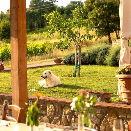 Azienda Agricola I Colli Di Marliano لاسترا أَ سينيا المظهر الخارجي الصورة