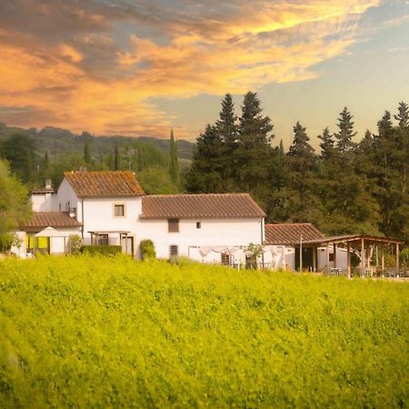 Azienda Agricola I Colli Di Marliano لاسترا أَ سينيا المظهر الخارجي الصورة