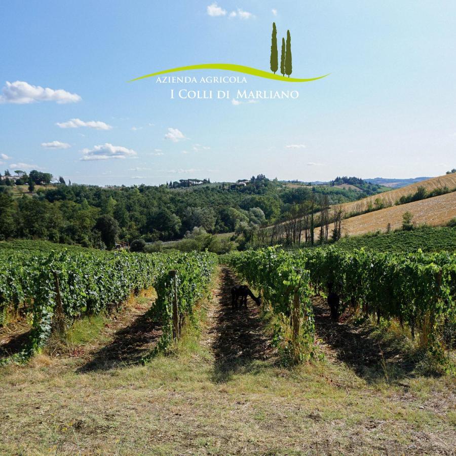 Azienda Agricola I Colli Di Marliano لاسترا أَ سينيا المظهر الخارجي الصورة