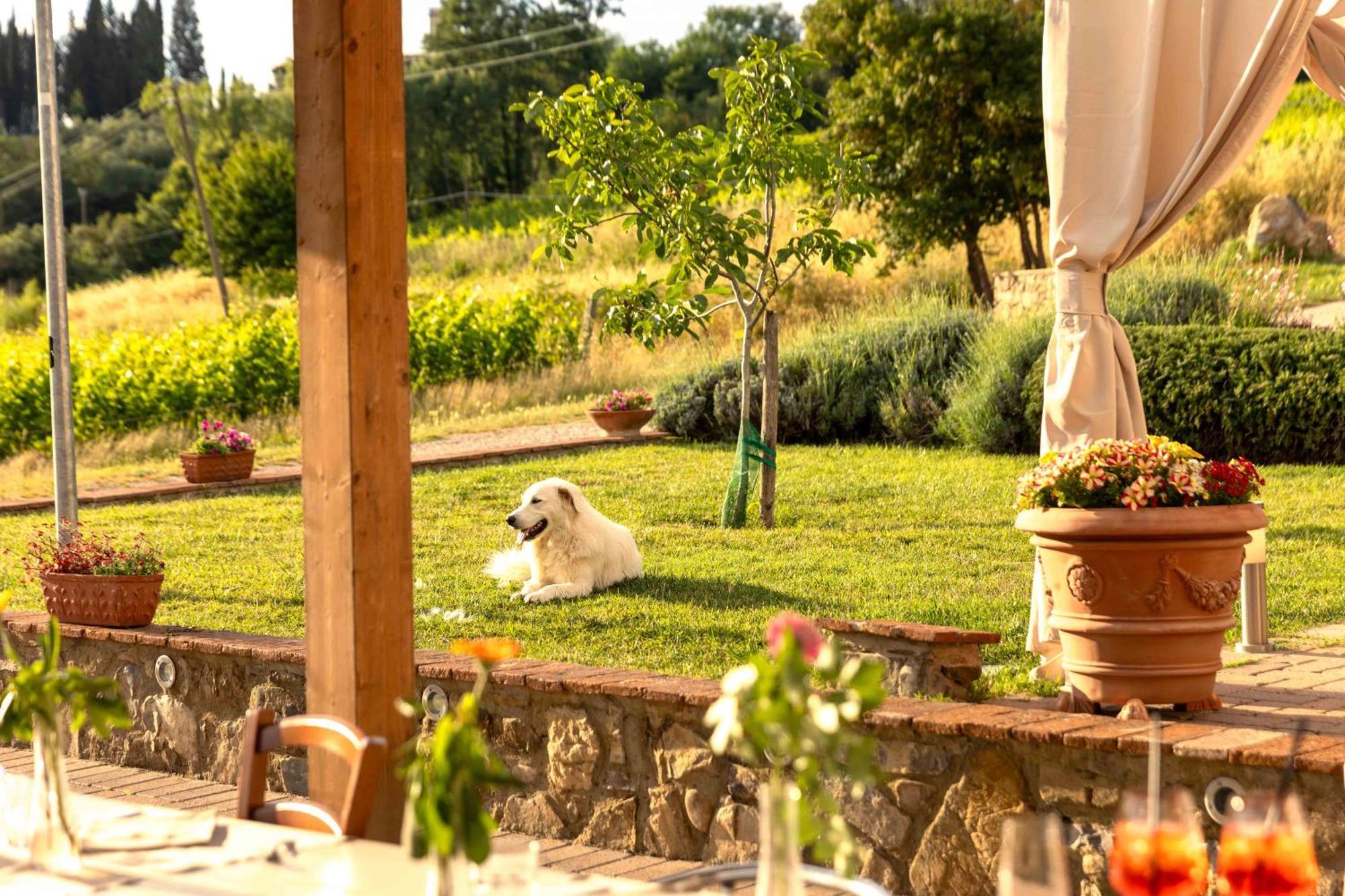Azienda Agricola I Colli Di Marliano لاسترا أَ سينيا المظهر الخارجي الصورة