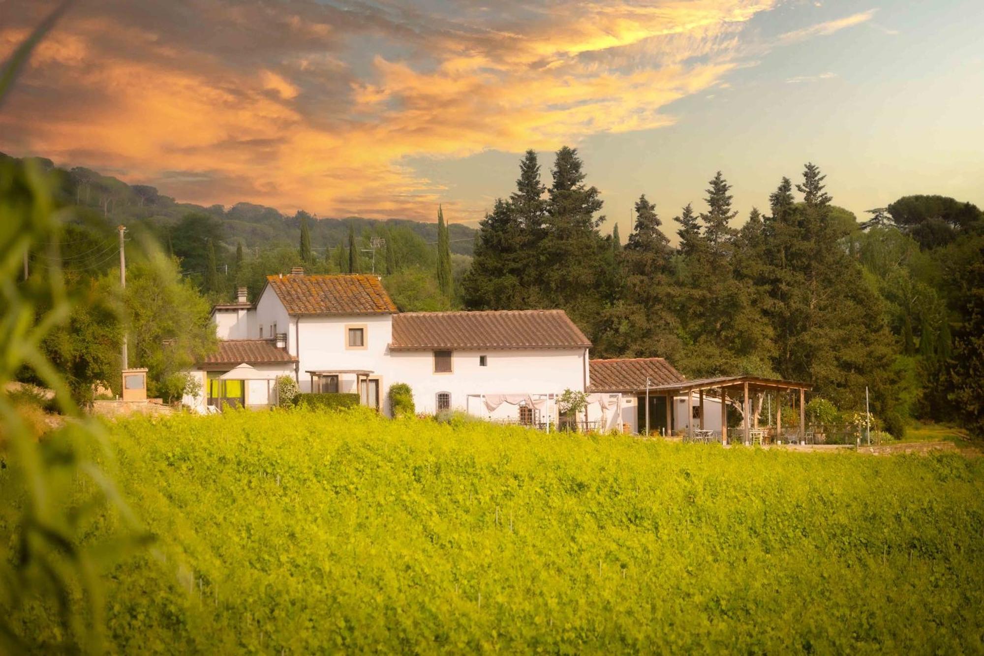 Azienda Agricola I Colli Di Marliano لاسترا أَ سينيا المظهر الخارجي الصورة